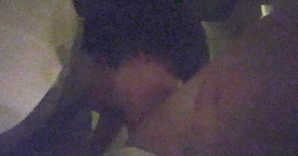 SHOU(しょう) クンニ🔞