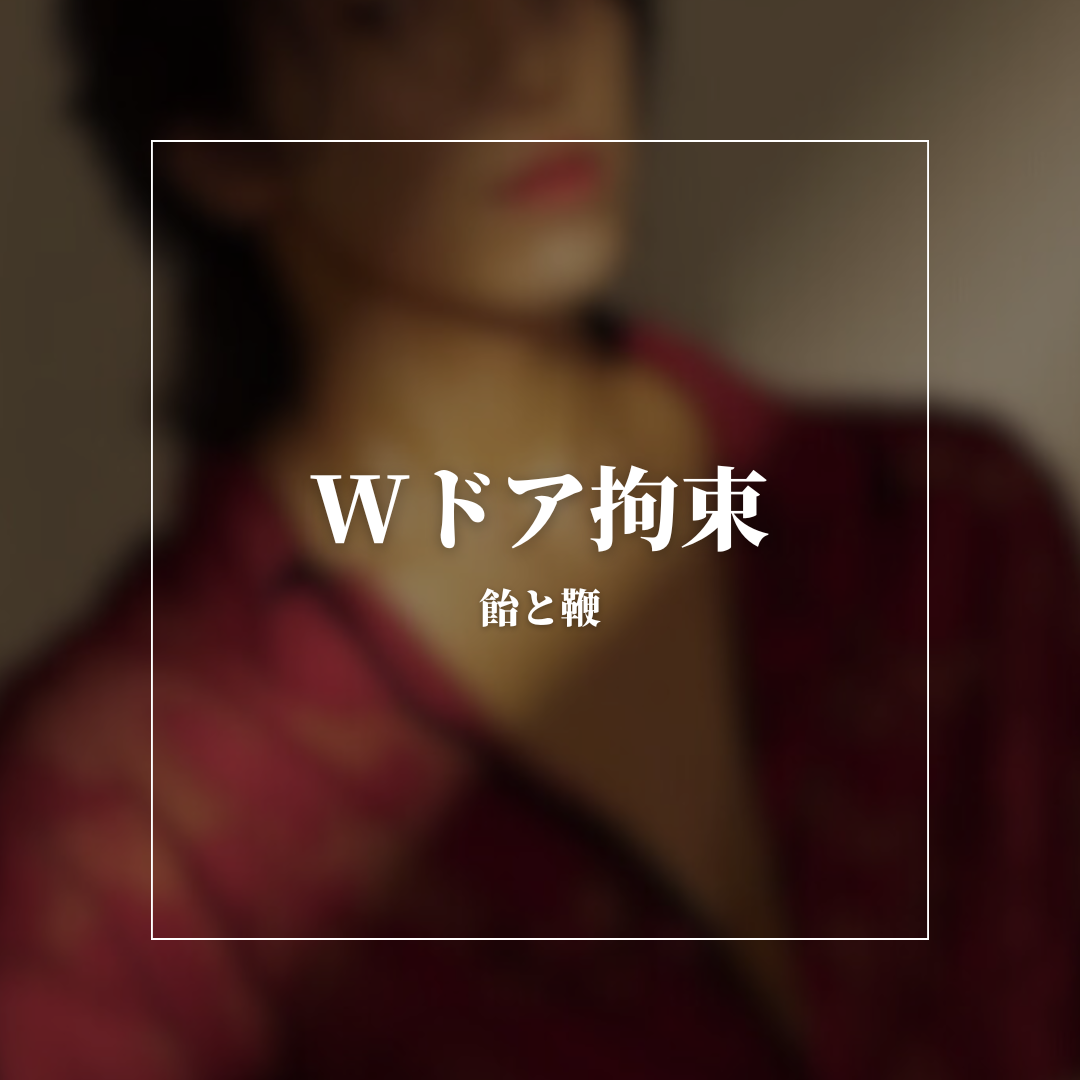 YAMATO（ヤマト） Wドア拘束