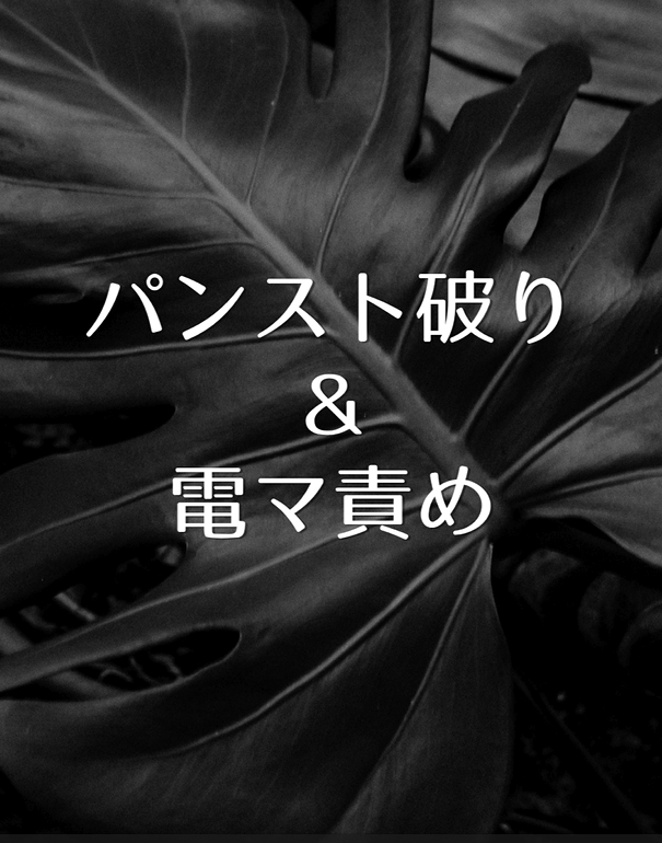 KIRI（キリ） パンストプレイ