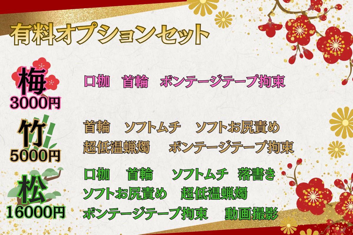 松竹梅有料オプションセット
