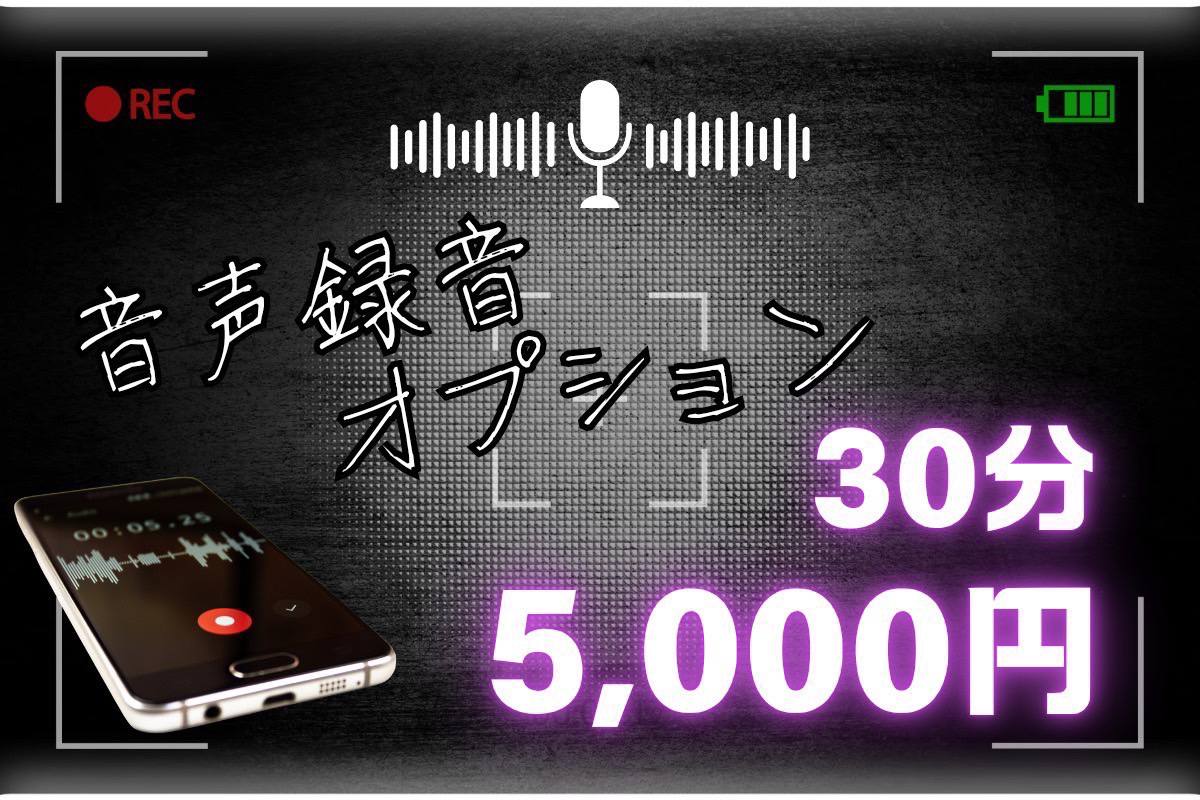 🎤音声録音オプション🎤