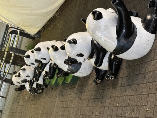 SORA（ソラ） 6/4 本日もお待ちしています！あいにきてくれるかた