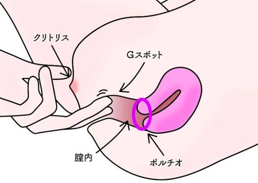 KOUNOSUKE ポルチオの所在地