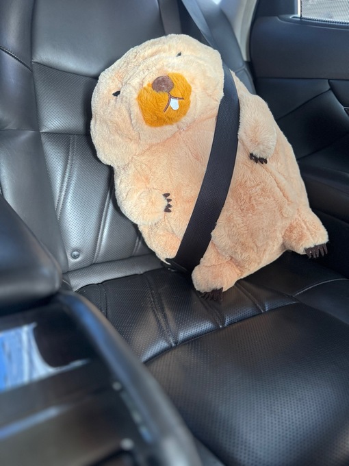 TEO（テオ） スッピンのちゃんみな