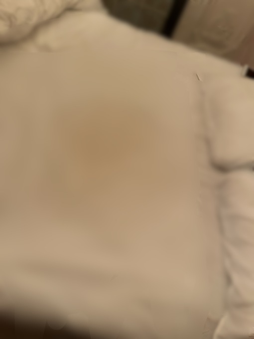 SENA（セナ） 🐳