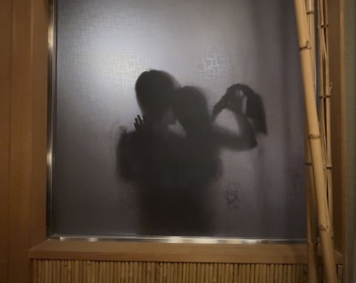 SEIYA(セイヤ) 帯首輪＋泡洗体