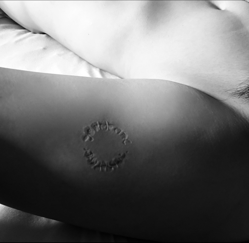 SEIYA(セイヤ) 歯形