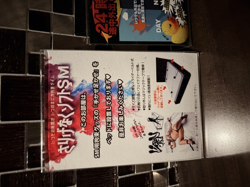 SHOU（ショウ） 全身拘束