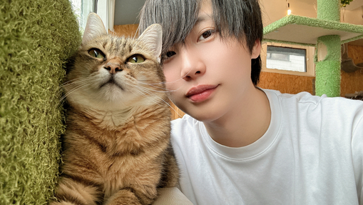 TORI（トウリ） ねこお