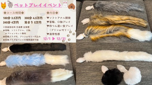 SUZUTO(スズト） ペットプレイイベント開催中🦊