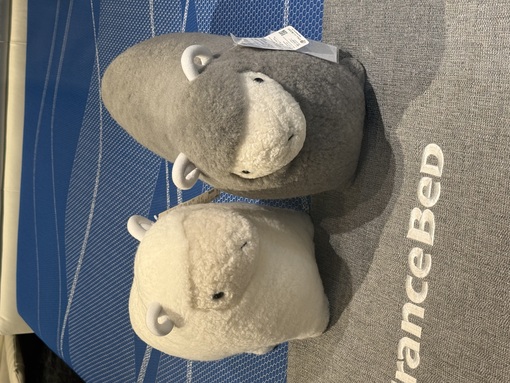 ENATO（エナト） 正直、