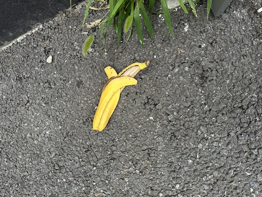 KAITO（カイト） カイトの副作用