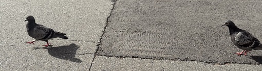 ENATO（エナト） 比べない