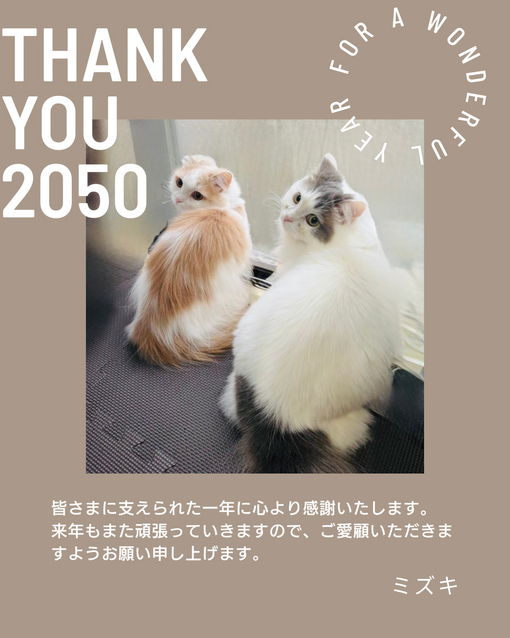 MIZUKI（ミズキ） 今年も一年支えて頂きありがとうございました！ミズキ