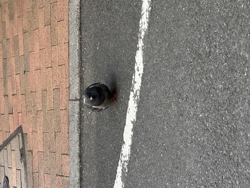 KAITO（カイト） 理解してほしい事