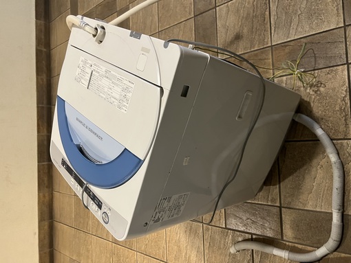 SAKI（サキ） 今日で博多へ来て2ヶ月経ちました