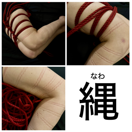 TAKUMI（タクミ） 【縄跡🪢緊縛】マーメイド縛り🧜‍♀️