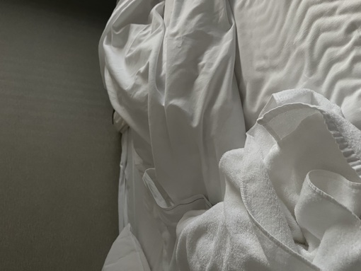 SASUKE（サスケ） 何事も経験