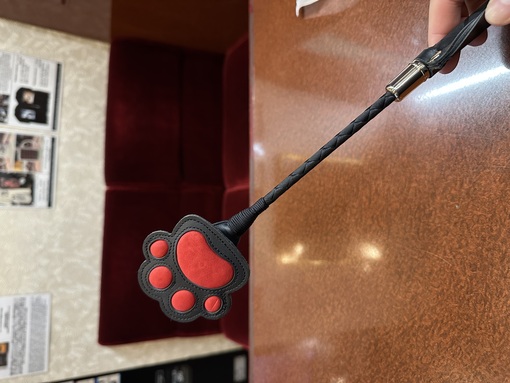 HUBUKI(フブキ) 猫パドルつい買っちゃった…🐱