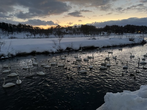 SHOU（ショウ） マインドの話