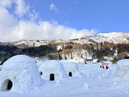 SHOU（ショウ） ○○だと