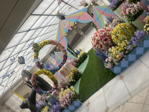 SENA（セナ） 今日は