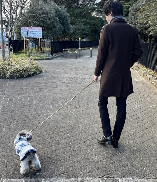 SHOU（ショウ） 全国