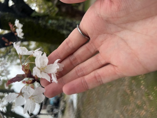 SENA（セナ） 接客をするうえで