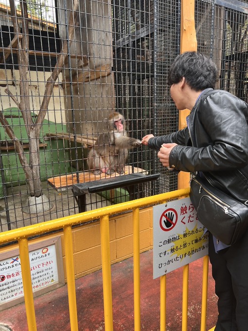 KAITO（カイト） ただいまー！