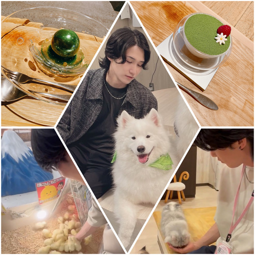 HUBUKI(フブキ) 一緒に癒されない？🐶