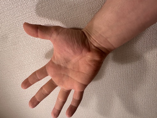 KAITO（カイト） この手は何のため？