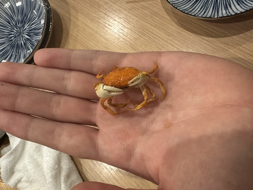 TORI（トウリ） かに🦀