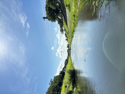 KAITO（カイト） いつかそうなったらいいなと思う事