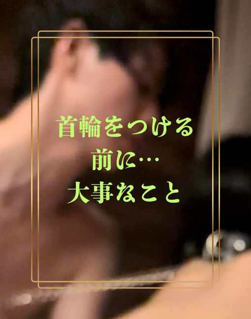 TSUMUGI（ツムギ） 首輪を付ける前に…