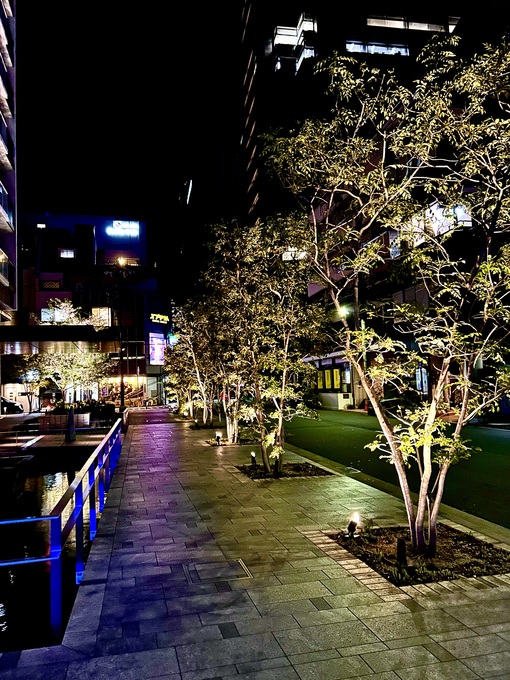 SAKU（サク） 