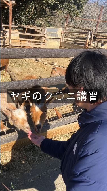 MAKI（マキ） 舌触りが優しいヤギ先生