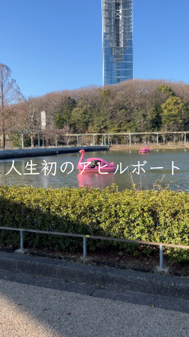 MAKI（マキ） 楽しくいい運動するならアヒルボートです